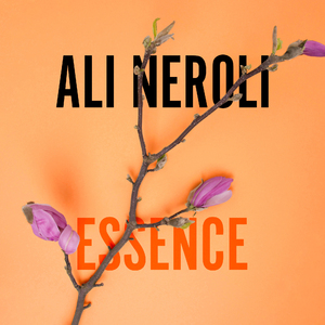 抹茶软件看女生全身隐私
