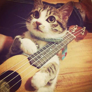 抹茶软件看女生全身隐私
