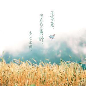 抹茶软件看女生全身隐私
